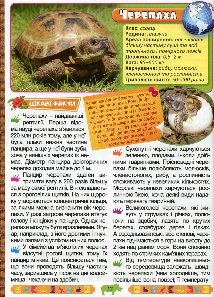 Книга Енциклопедія про тварин. Дивовижні факти. Блакитна. Фото 15