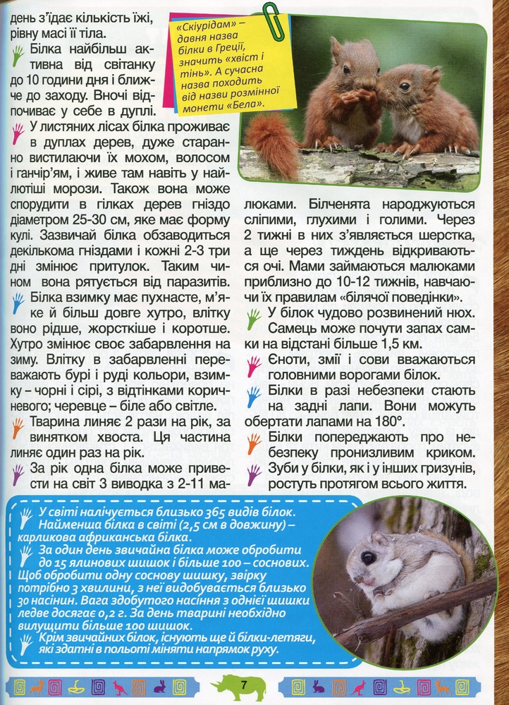 Книга Енциклопедія про тварин. Дивовижні факти. Блакитна. Фото 10
