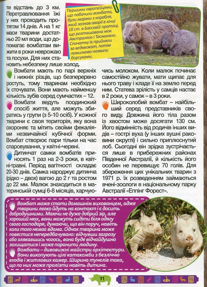 Книга Енциклопедія про тварин. Дивовижні факти. Блакитна. Фото 14
