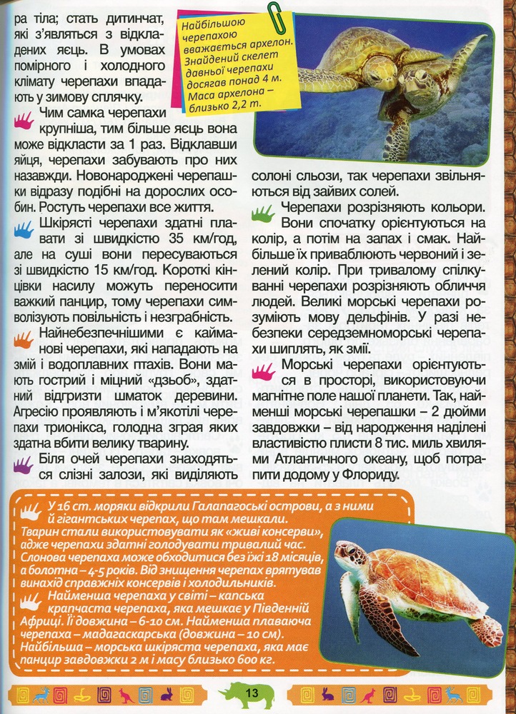 Книга Енциклопедія про тварин. Дивовижні факти. Блакитна. Фото 16