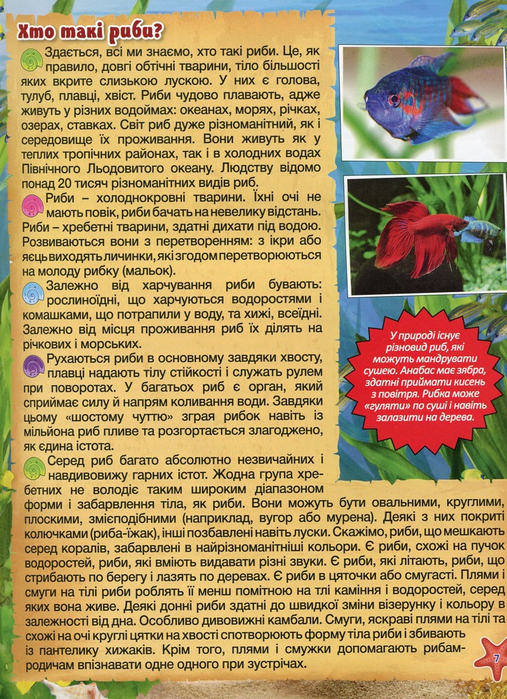 Книга Підводний світ. Велика книга. Дитяча енциклопедія. Фото 10