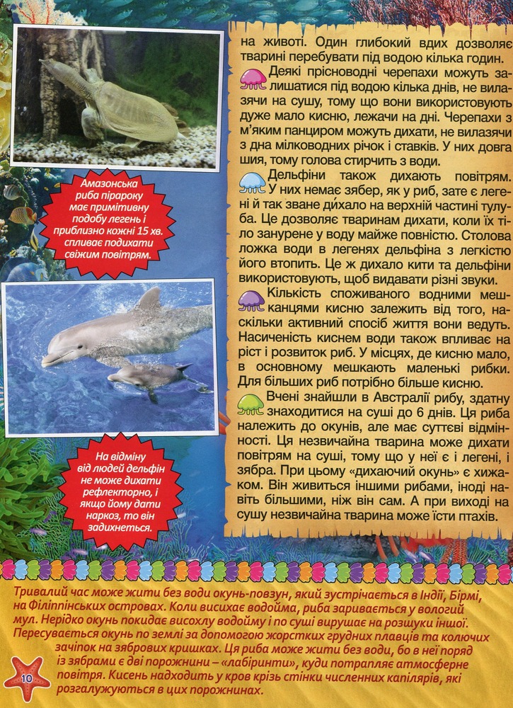Книга Підводний світ. Велика книга. Дитяча енциклопедія. Фото 13