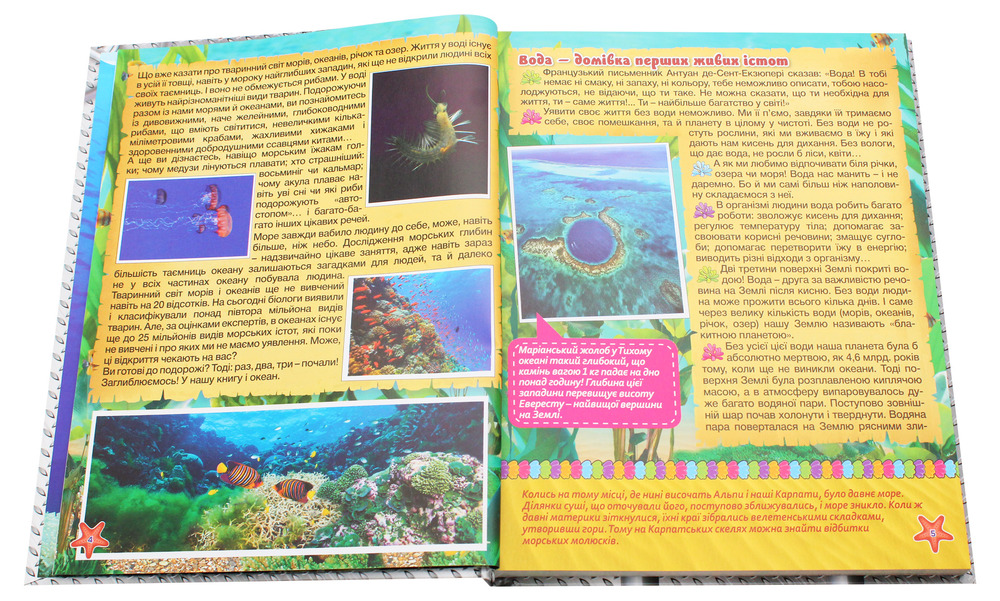 Книга Підводний світ. Велика книга. Дитяча енциклопедія. Фото 4