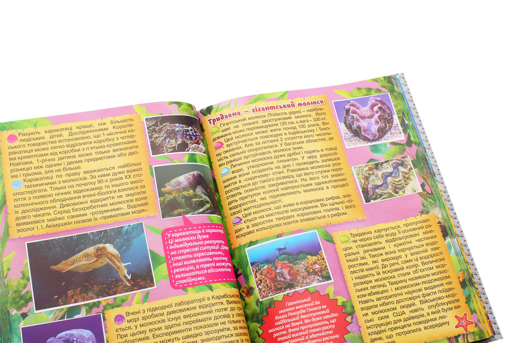Книга Підводний світ. Велика книга. Дитяча енциклопедія. Фото 5