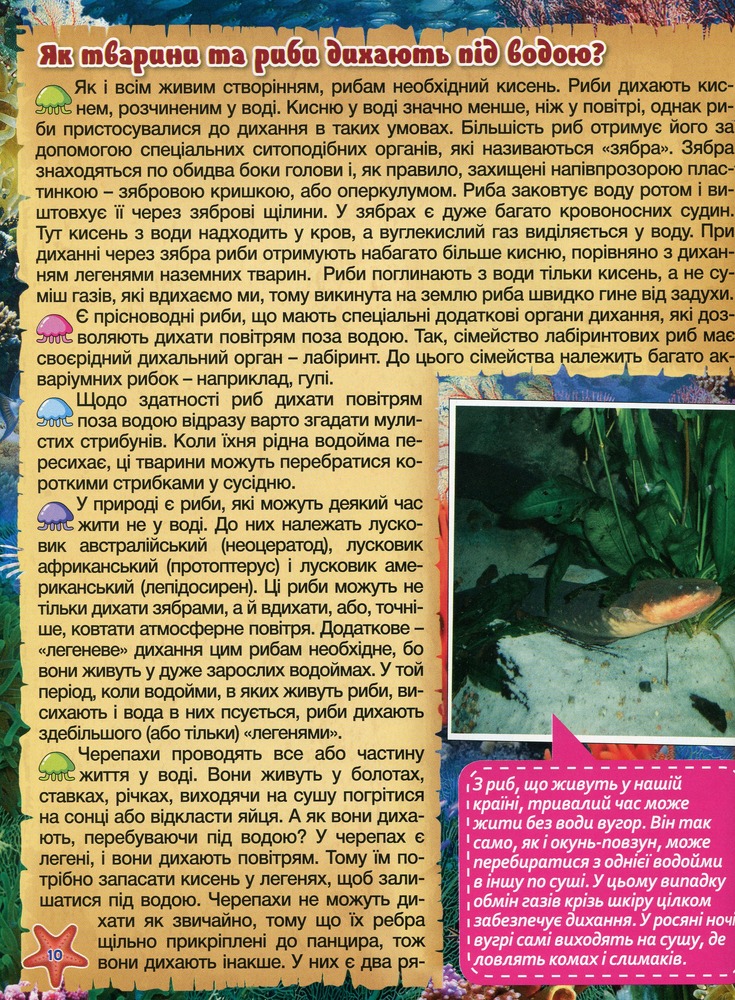 Книга Підводний світ. Дитяча енциклопедія. Жовта. Фото 11