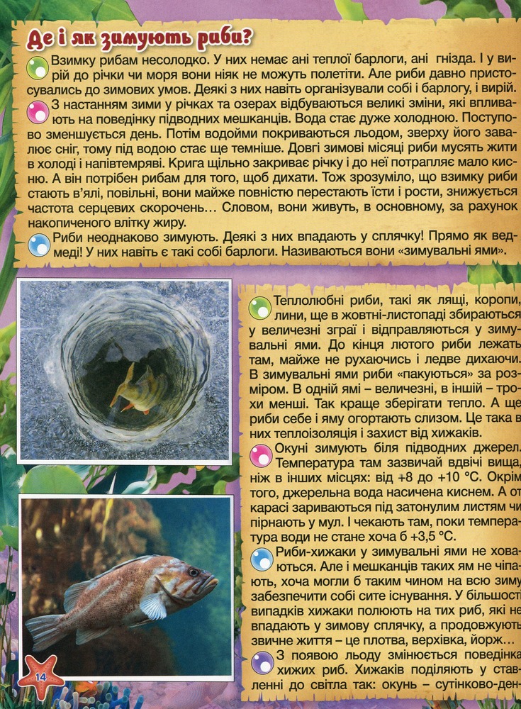 Книга Підводний світ. Дитяча енциклопедія. Жовта. Фото 15
