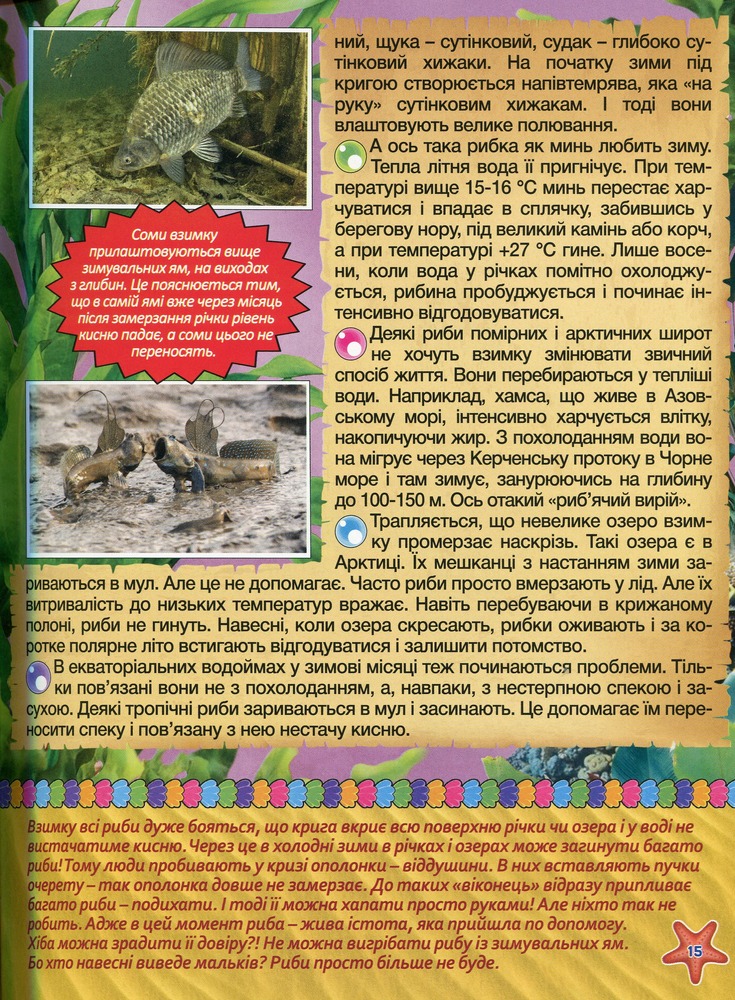 Книга Підводний світ. Дитяча енциклопедія. Жовта. Фото 16