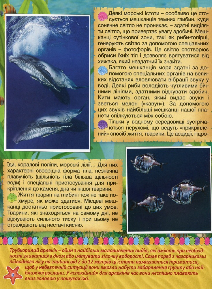 Книга Підводний світ. Дитяча енциклопедія. Жовта. Фото 10