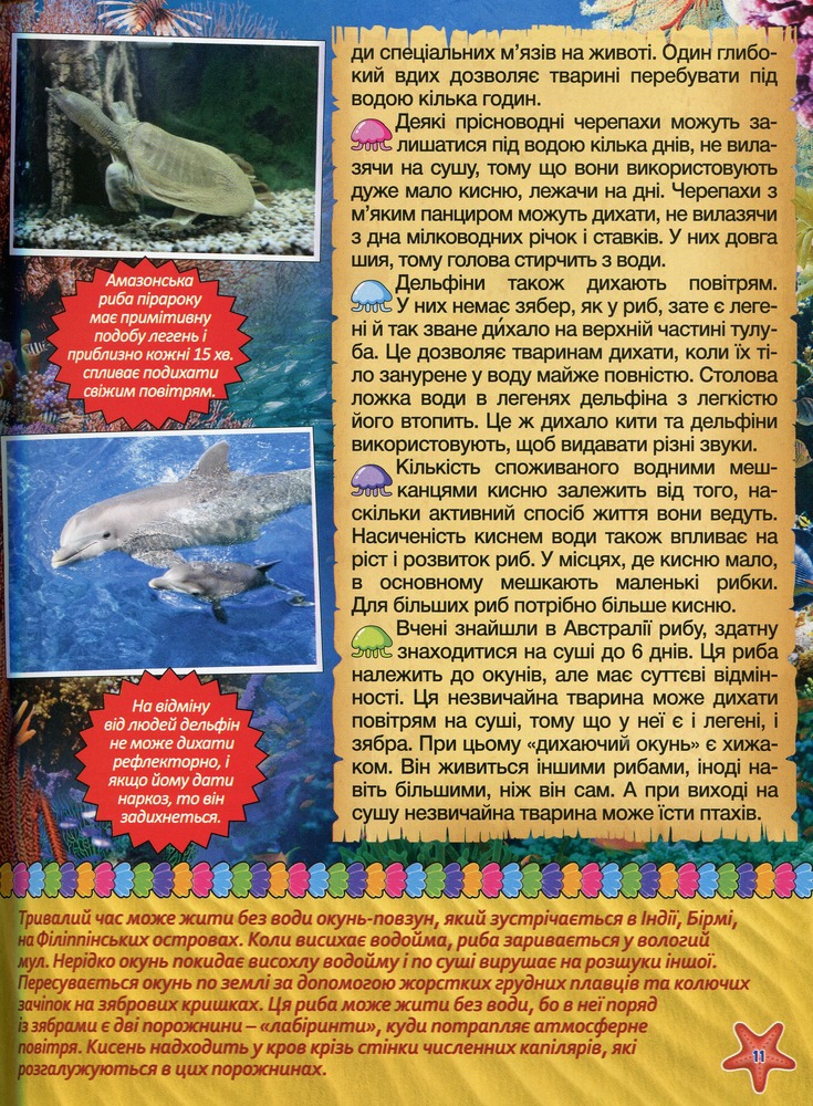 Книга Підводний світ. Дитяча енциклопедія. Жовта. Фото 12