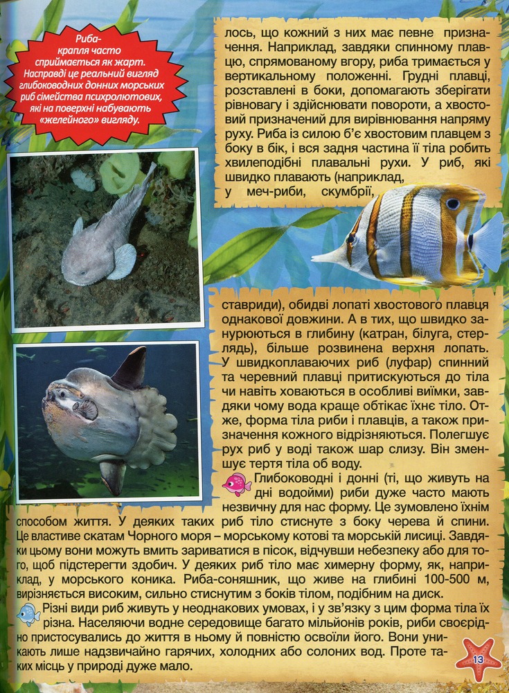 Книга Підводний світ. Дитяча енциклопедія. Жовта. Фото 14
