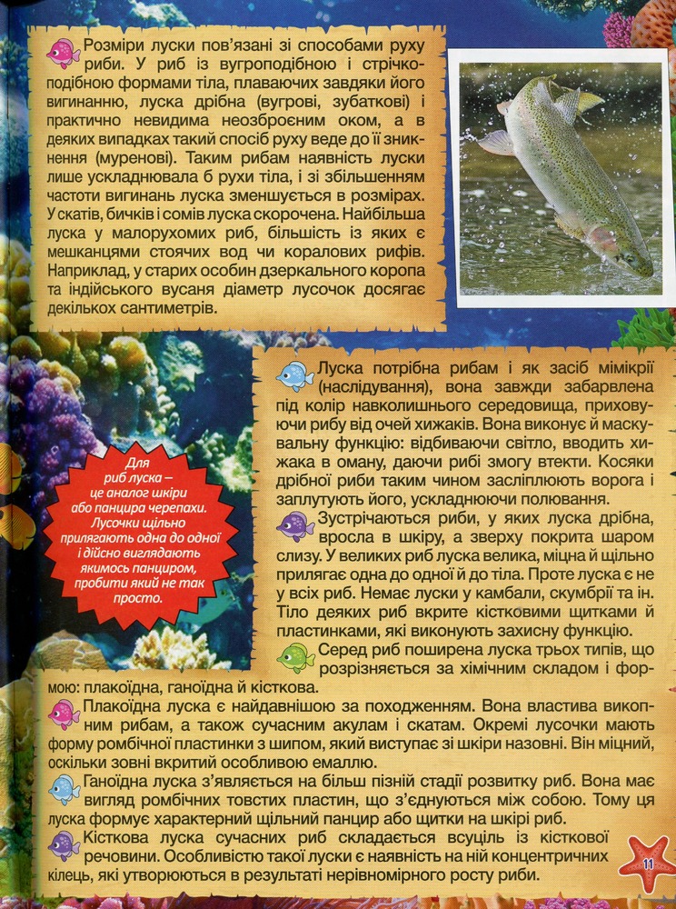 Книга Підводний світ. Дитяча енциклопедія. Блакитна. Фото 14