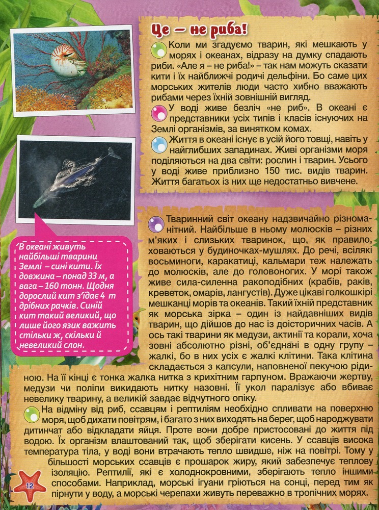Книга Підводний світ. Дитяча енциклопедія. Блакитна. Фото 15