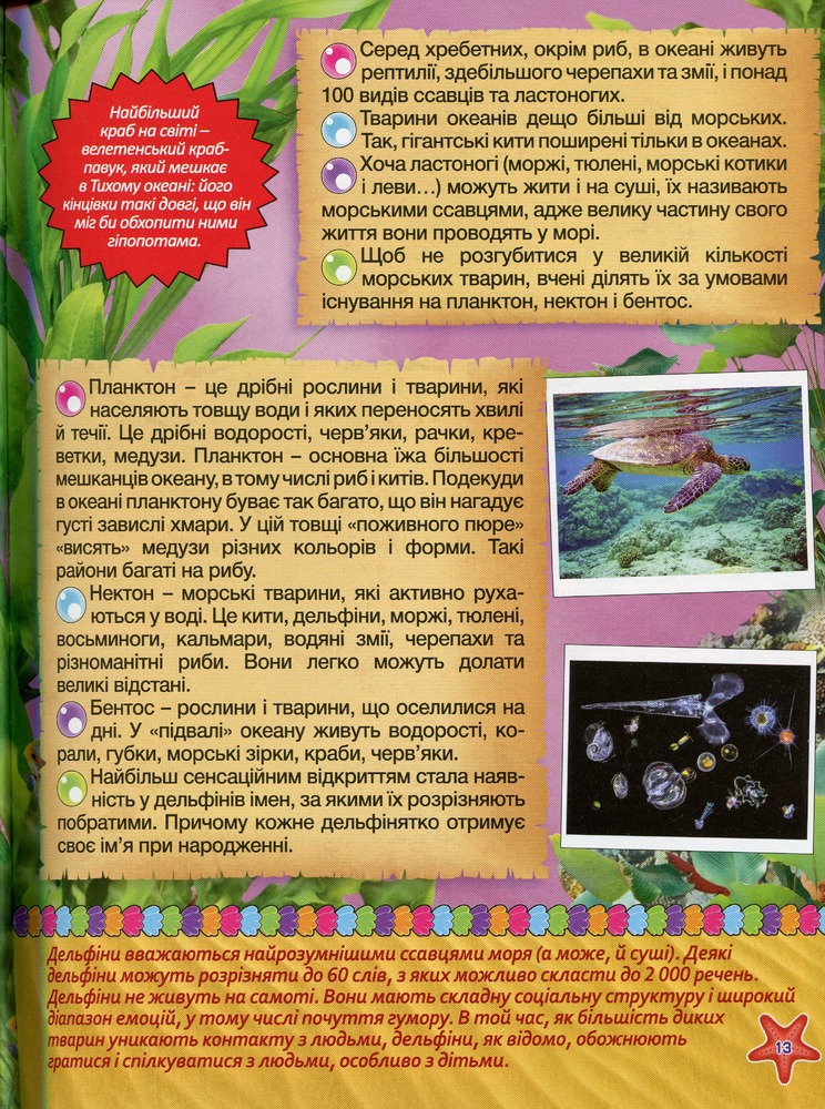 Книга Підводний світ. Дитяча енциклопедія. Блакитна. Фото 16