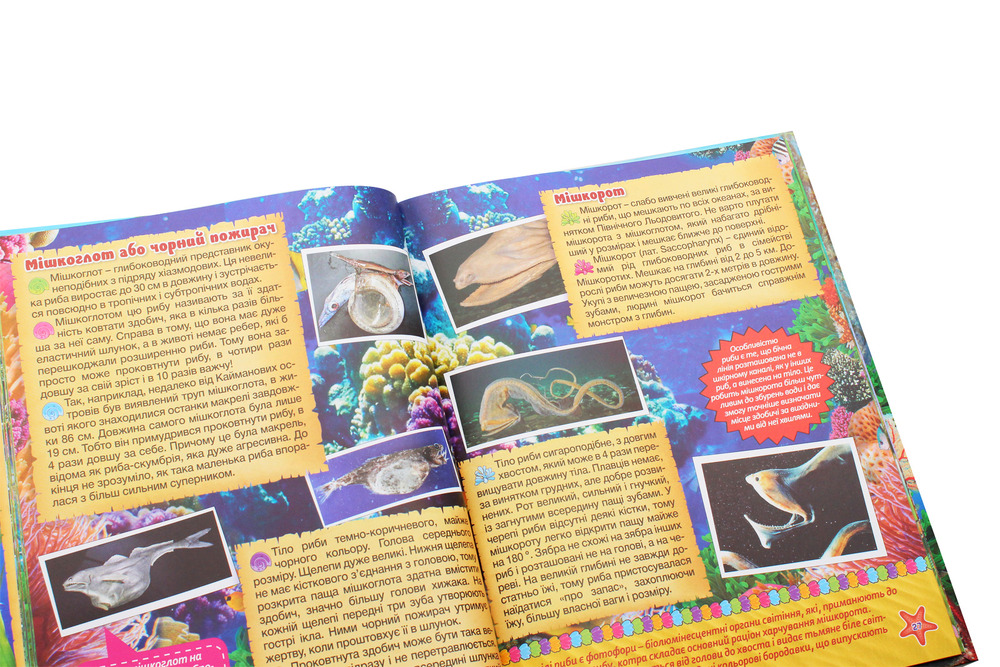 Книга Підводний світ. Дитяча енциклопедія. Блакитна. Фото 5
