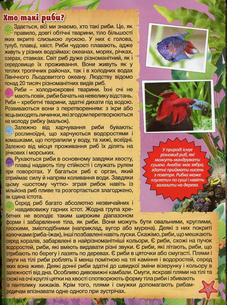 Книга Підводний світ. Дитяча енциклопедія. Блакитна. Фото 8