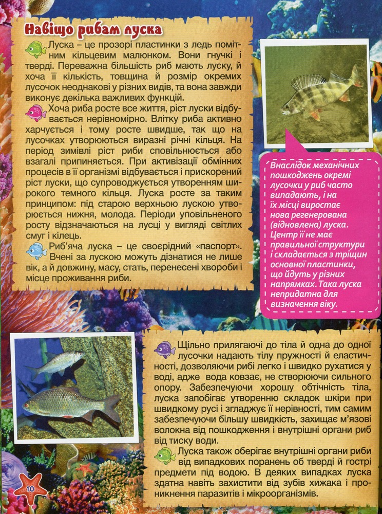 Книга Підводний світ. Дитяча енциклопедія. Блакитна. Фото 13