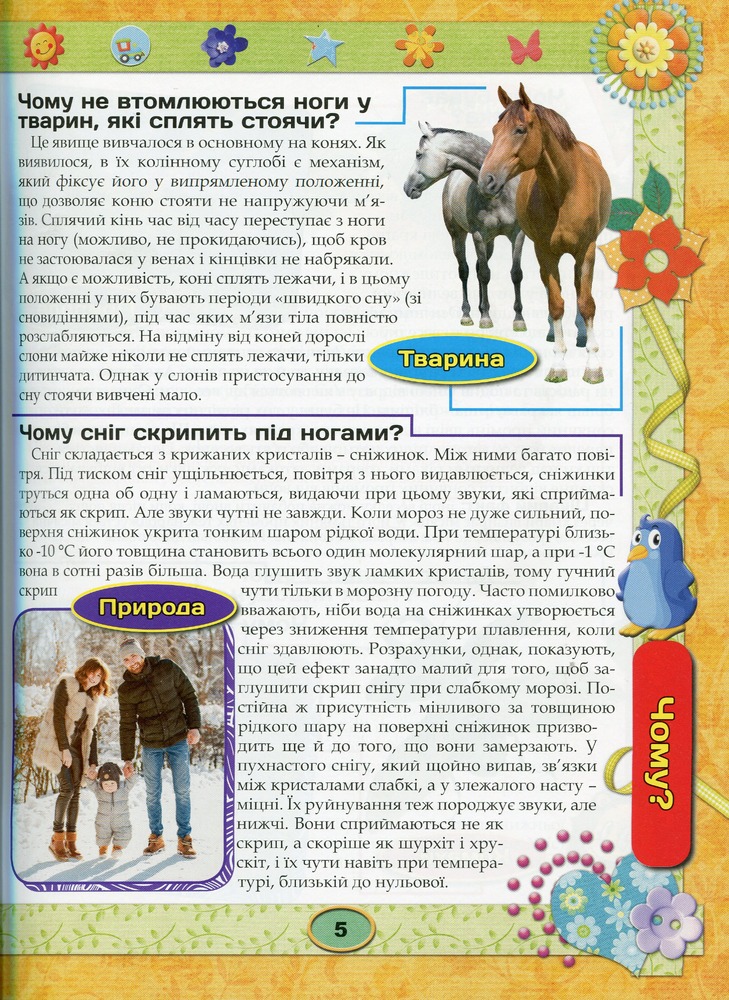Книга Енциклопедія чомусика. Велика книга. Фото 4