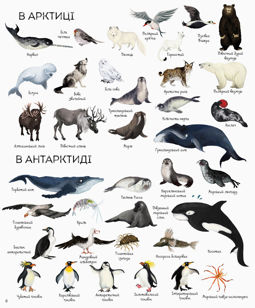 Книга 1000 назв тварин. Фото 15