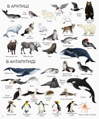 Книга 1000 назв тварин. Фото 15