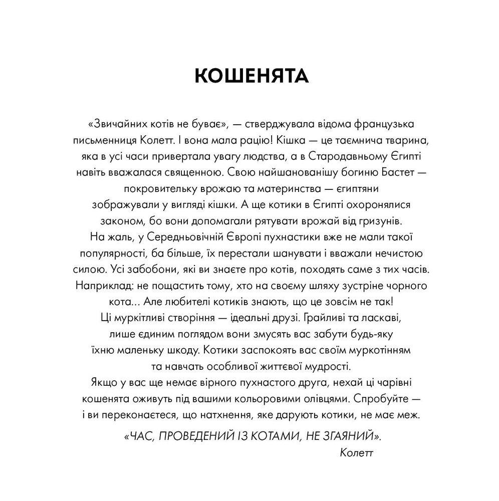 Книжка-розмальовка Арт-квадрат. Кошенята. Фото 7
