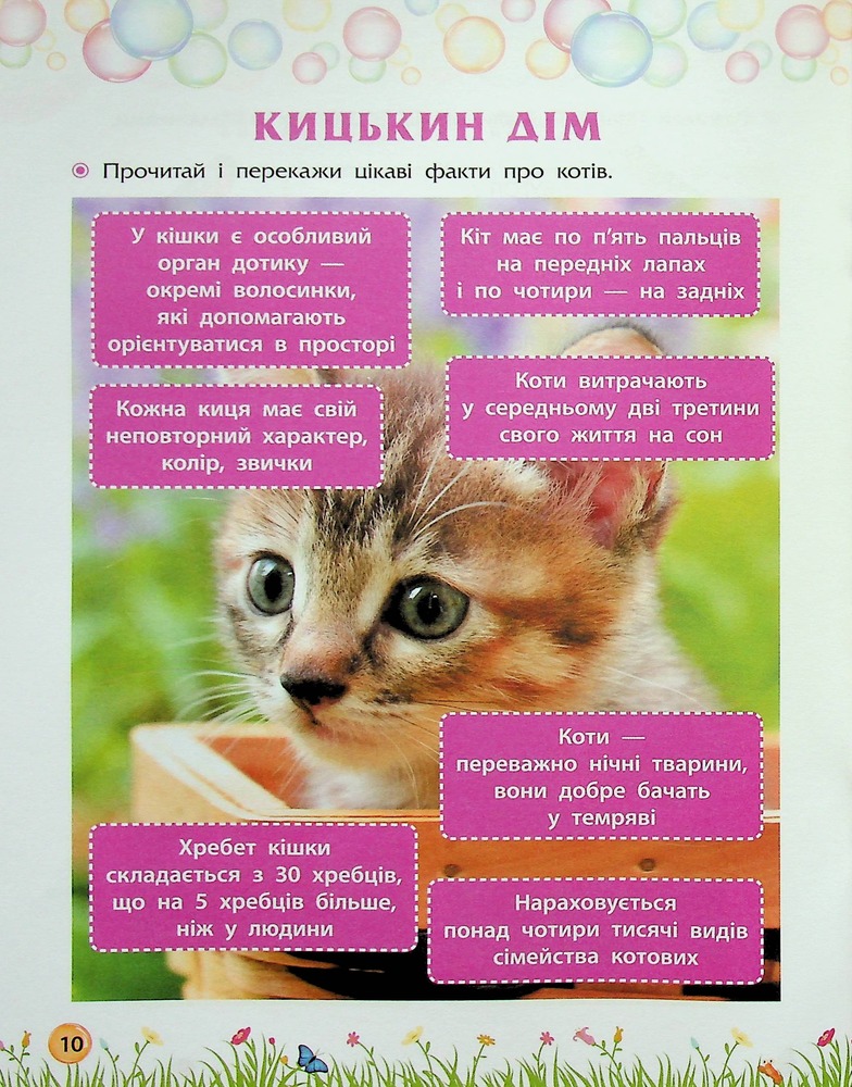 Книга Секрети знань. Зустрічай 2 клас (+ 80 наліпок, + 2 проєктні роботи) - Тетяна Квартник, Олена Шаповал. Фото 12