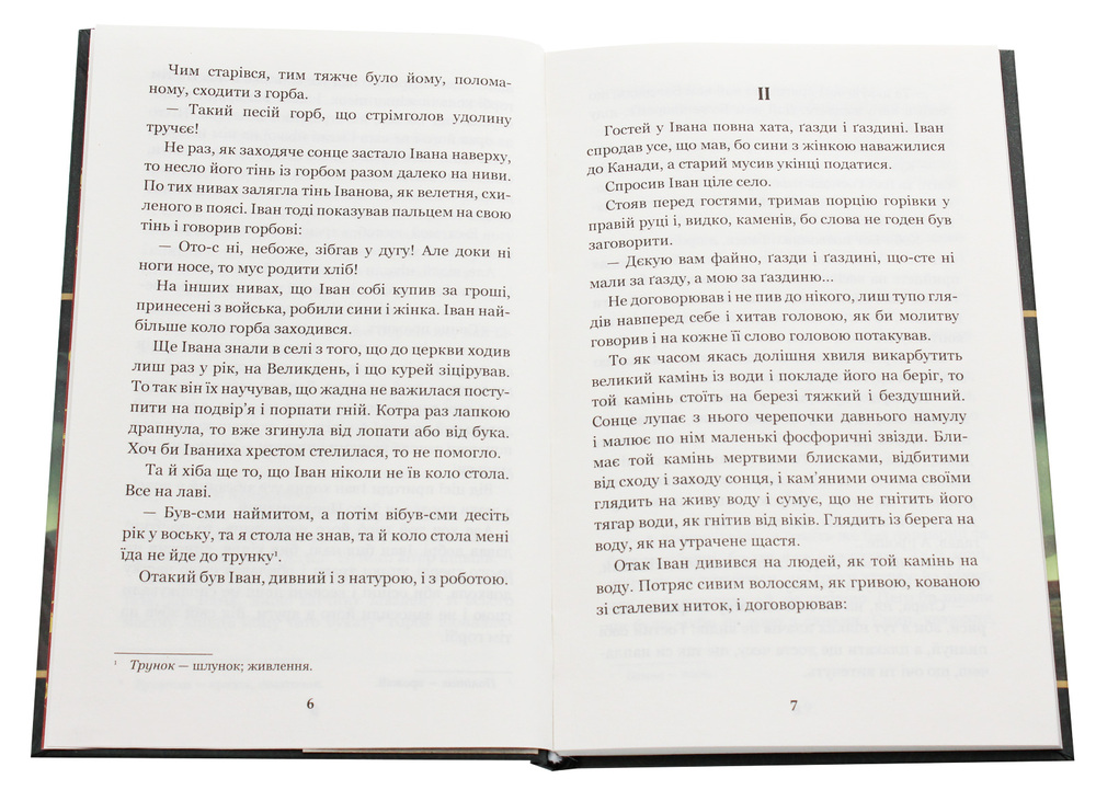 Книга Камінний хрест. Новели - Василь Стефаник. Фото 4
