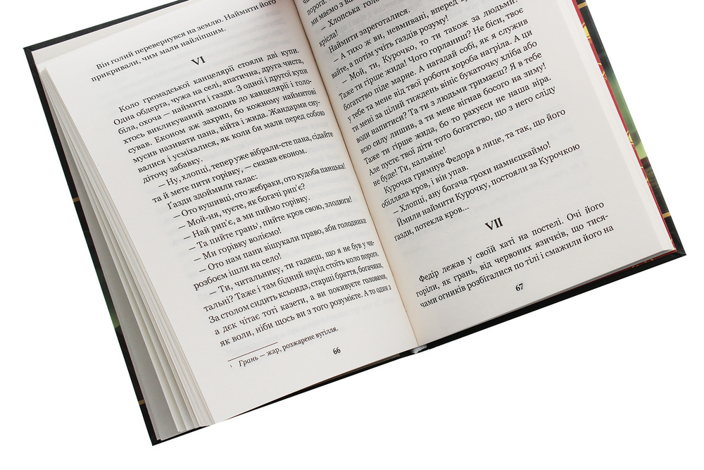 Книга Камінний хрест. Новели - Василь Стефаник. Фото 5