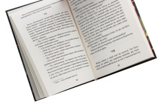 Книга Камінний хрест. Новели - Василь Стефаник. Фото 5