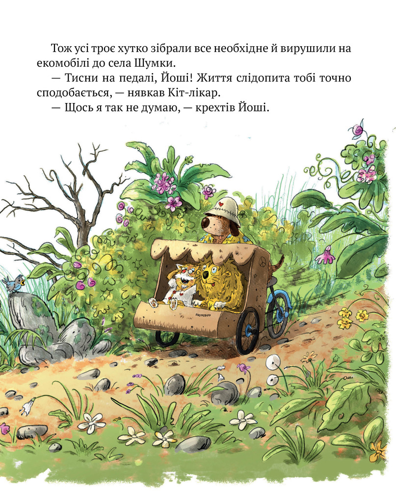 Книга Кіт-лікар. Книга 3. Шумківський чугайстер - Валько. Фото 6