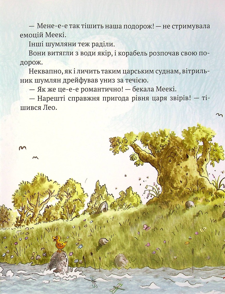 Книга Кіт-лікар. Книга 4. Подорож на Острів скарбів - Валько. Фото 8