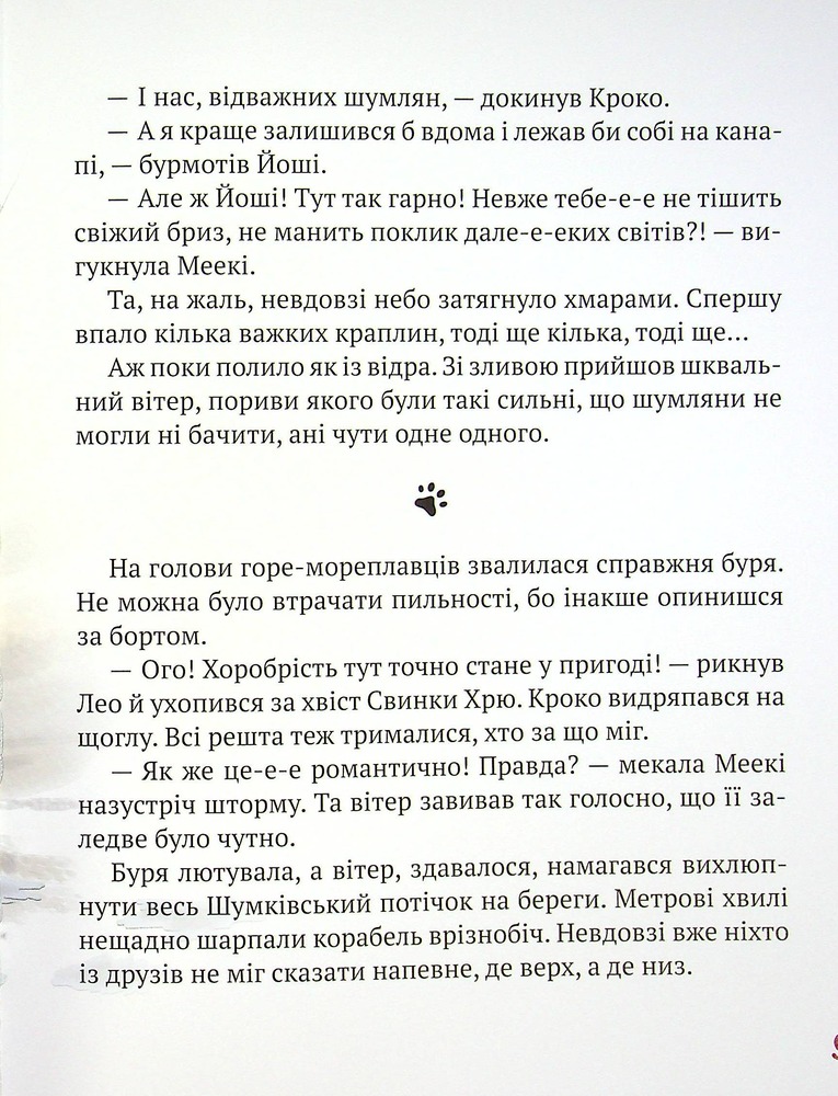 Книга Кіт-лікар. Книга 4. Подорож на Острів скарбів - Валько. Фото 10