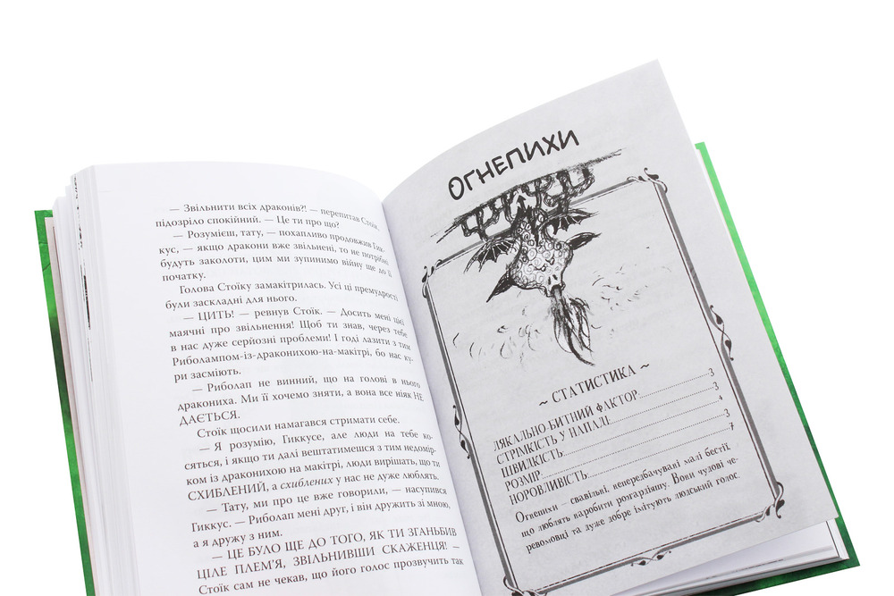 Книга Як приручити дракона. Книга 9. Як поцупити меч дракона - Крессіда Коуелл. Фото 6