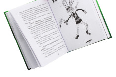 Книга Як приручити дракона. Книга 9. Як поцупити меч дракона - Крессіда Коуелл. Фото 7