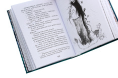 Книга Як приручити дракона. Книга 12. Як подолати гнів дракона - Крессіда Коуелл. Фото 6