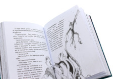 Книга Як приручити дракона. Книга 12. Як подолати гнів дракона - Крессіда Коуелл. Фото 7