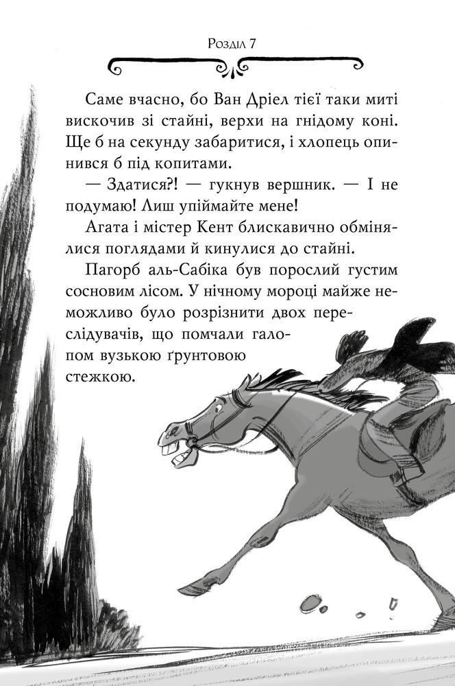 Книга Агата Містері. Книга 12. Розслідування у Ґранаді (Троянда Альгамбри) - Стів Стівенсон. Фото 11