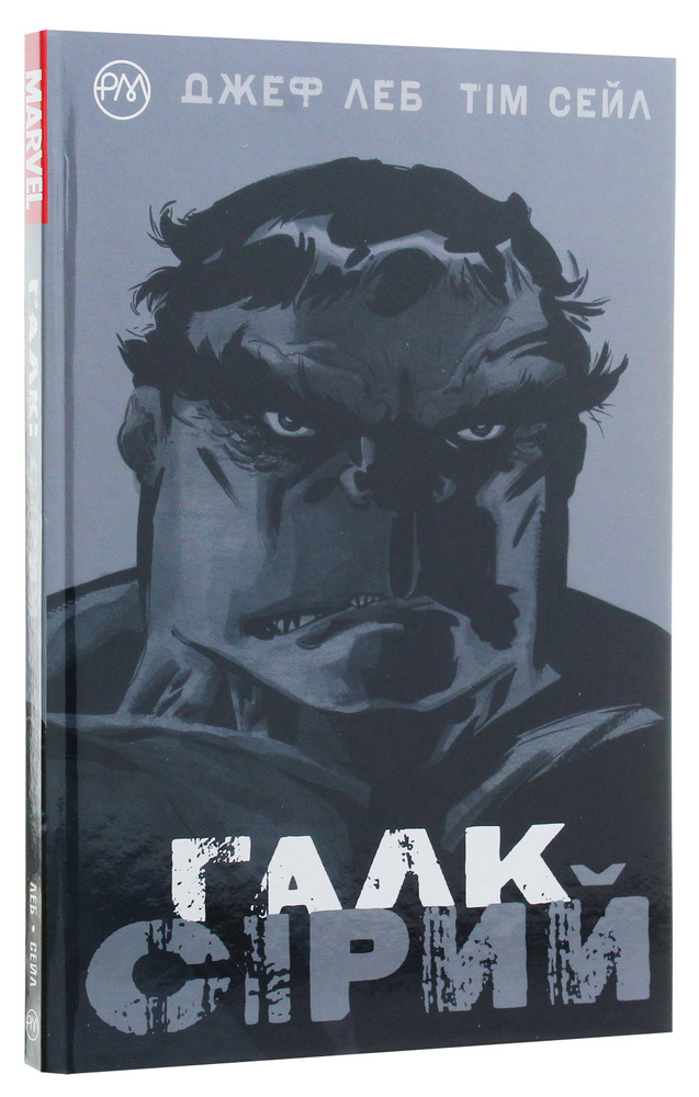 Книга Галк. Сірий - Джеф Лоеб, Тім Сейл. Фото 2