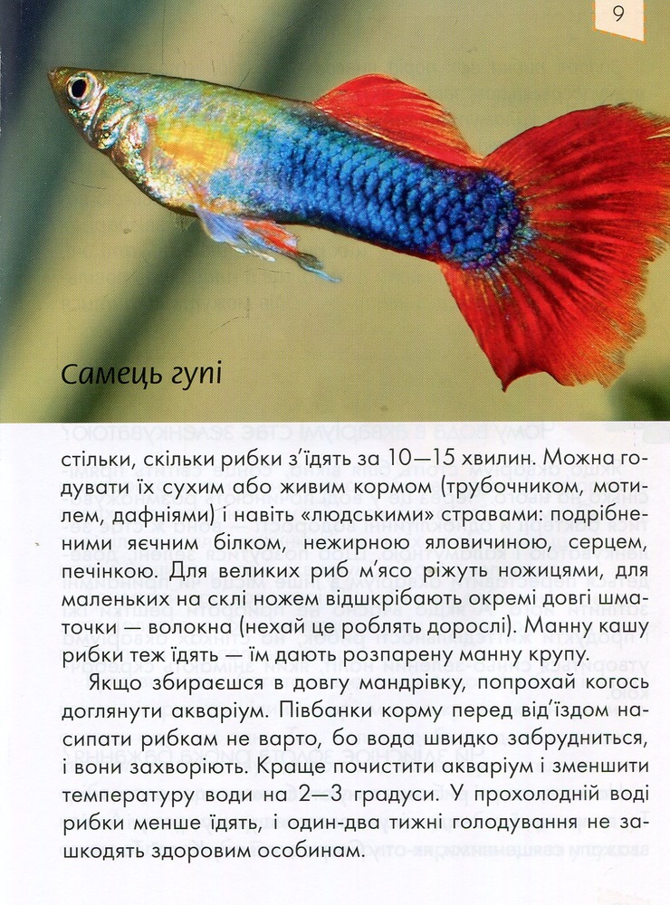 Книга Домашні улюбленці. Енциклопедія для допитливих. Фото 7