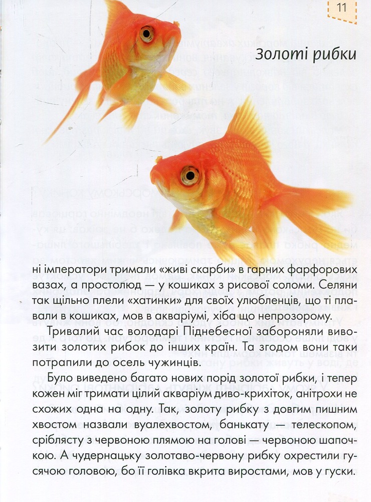 Книга Домашні улюбленці. Енциклопедія для допитливих. Фото 9