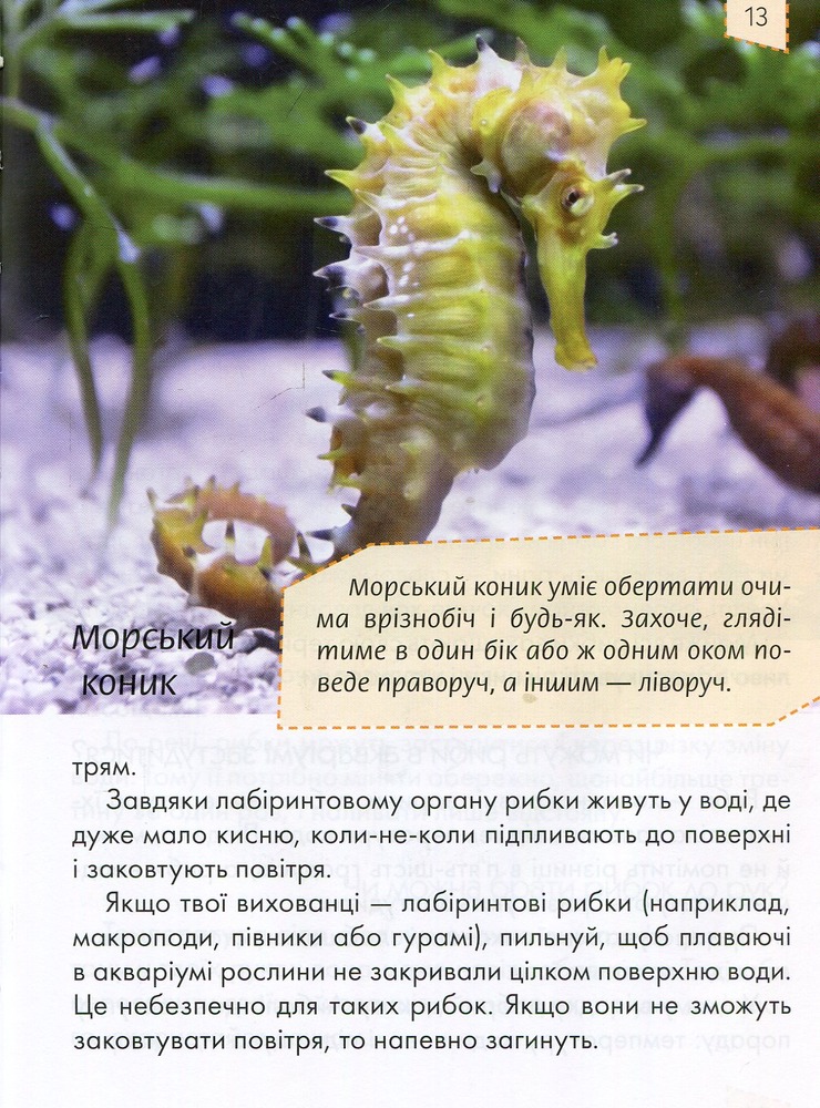 Книга Домашні улюбленці. Енциклопедія для допитливих. Фото 11