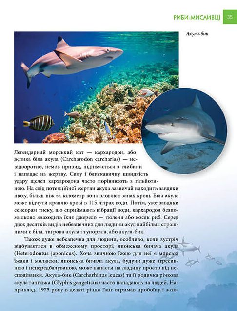 Книга Найнебезпечніші істоти планети. Енциклопедія для допитливих. Фото 8
