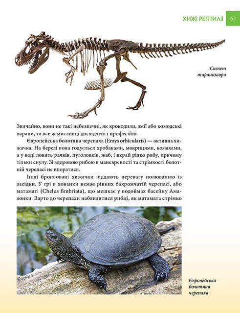 Книга Найнебезпечніші істоти планети. Енциклопедія для допитливих. Фото 12
