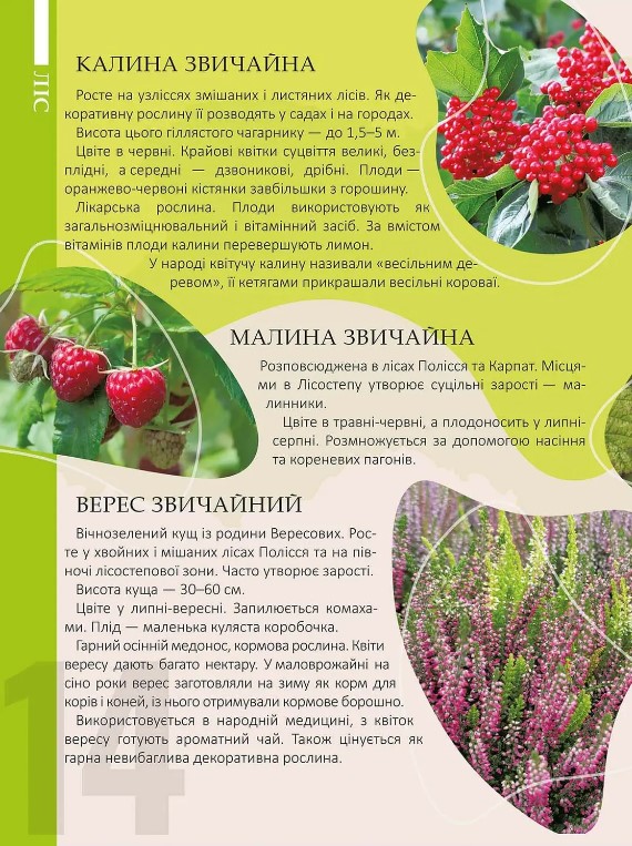 Книга Перлини природи України. Енциклопедія для допитливих. Фото 3