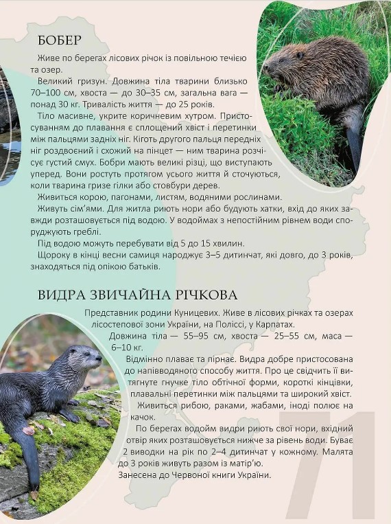 Книга Перлини природи України. Енциклопедія для допитливих. Фото 4