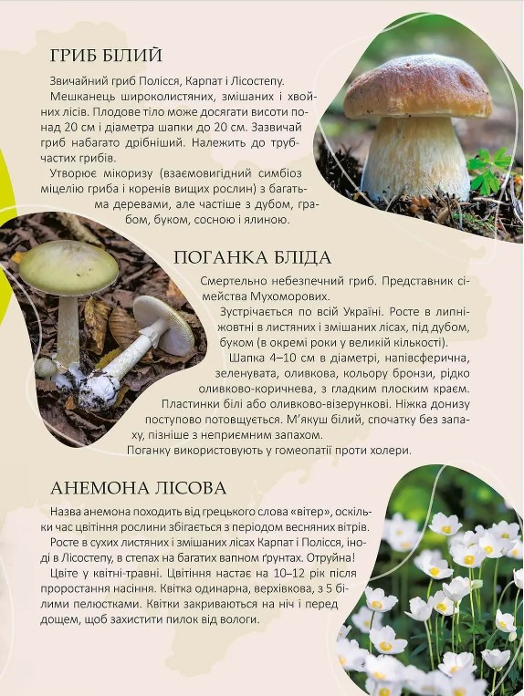 Книга Перлини природи України. Енциклопедія для допитливих. Фото 2