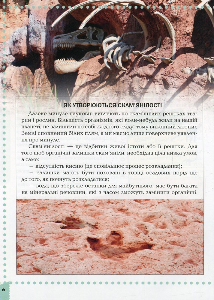 Книга Про динозаврів. Енциклопедія для допитливих. Фото 6