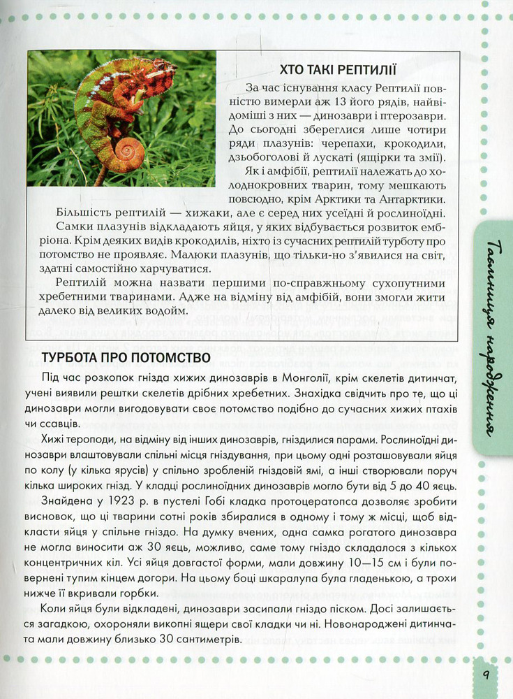 Книга Про динозаврів. Енциклопедія для допитливих. Фото 9