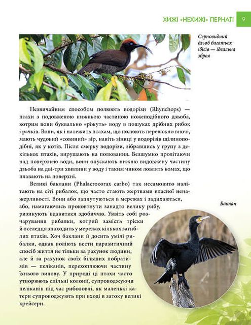 Книга Хижаки. Енциклопедія для допитливих . Фото 4