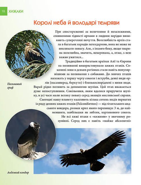 Книга Хижаки. Енциклопедія для допитливих . Фото 5