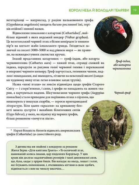 Книга Хижаки. Енциклопедія для допитливих . Фото 6